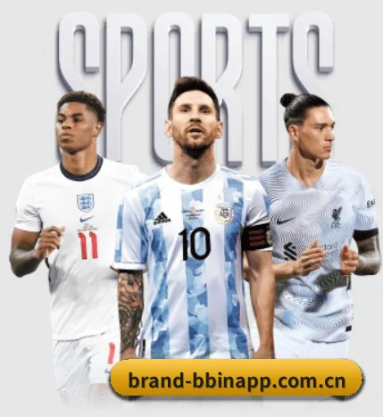 bbin官网 APP